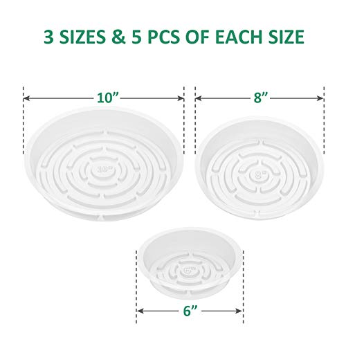 GROWNEER 24 Pack of 6, 8, 10, 12 Inches Clear Plant Saucer Drip Trays, with 15 Pcs Plant Labels, Plastic Plant Pot Saucers Flower Pot Set for Indoor Outdoor Garden, Assorted Sizes, 6 Pcs of Each Size