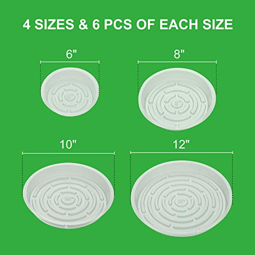 GROWNEER 24 Pack of 6, 8, 10, 12 Inches Clear Plant Saucer Drip Trays, with 15 Pcs Plant Labels, Plastic Plant Pot Saucers Flower Pot Set for Indoor Outdoor Garden, Assorted Sizes, 6 Pcs of Each Size