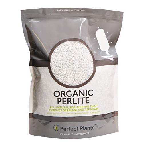 Organic Perlite by Perfect Plants — Add to Soil for Indoor & Outdoor Container Plants for Drainage Management and Enhanced Growth (8qts.)