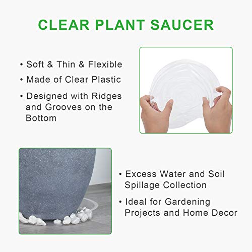 GROWNEER 24 Pack of 6, 8, 10, 12 Inches Clear Plant Saucer Drip Trays, with 15 Pcs Plant Labels, Plastic Plant Pot Saucers Flower Pot Set for Indoor Outdoor Garden, Assorted Sizes, 6 Pcs of Each Size