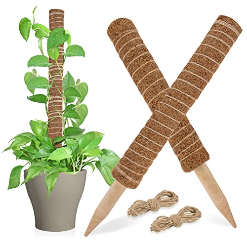 Sukh Moss Totem Pole - Moss Pole for Plants Monstera 2 Pcs 15.7 Inch Coco Coir Pole for Climbing Indoor Potted Plants Training Grow Upwards with Jute String Moss Stick for Plant Support Extension