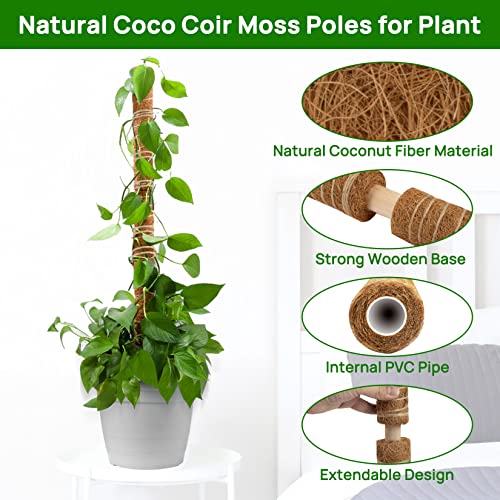 Sukh Moss Totem Pole - Moss Pole for Plants Monstera 2 Pcs 15.7 Inch Coco Coir Pole for Climbing Indoor Potted Plants Training Grow Upwards with Jute String Moss Stick for Plant Support Extension