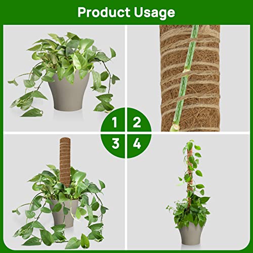 Sukh Moss Totem Pole - Moss Pole for Plants Monstera 2 Pcs 15.7 Inch Coco Coir Pole for Climbing Indoor Potted Plants Training Grow Upwards with Jute String Moss Stick for Plant Support Extension