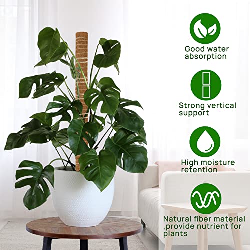 Sukh Moss Totem Pole - Moss Pole for Plants Monstera 2 Pcs 15.7 Inch Coco Coir Pole for Climbing Indoor Potted Plants Training Grow Upwards with Jute String Moss Stick for Plant Support Extension