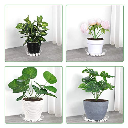 GROWNEER 24 Pack of 6, 8, 10, 12 Inches Clear Plant Saucer Drip Trays, with 15 Pcs Plant Labels, Plastic Plant Pot Saucers Flower Pot Set for Indoor Outdoor Garden, Assorted Sizes, 6 Pcs of Each Size