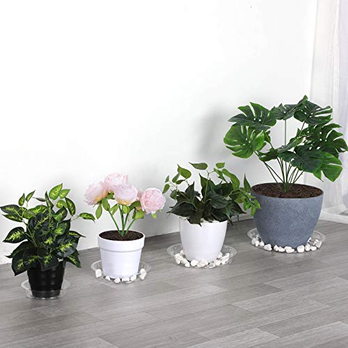 GROWNEER 24 Pack of 6, 8, 10, 12 Inches Clear Plant Saucer Drip Trays, with 15 Pcs Plant Labels, Plastic Plant Pot Saucers Flower Pot Set for Indoor Outdoor Garden, Assorted Sizes, 6 Pcs of Each Size